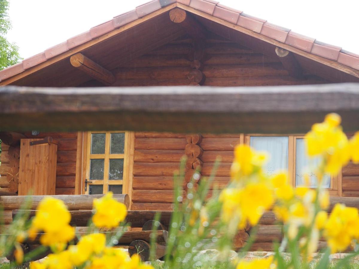 Hostal Mas Cal Sastre Sant Hilari Sacalm Exterior foto
