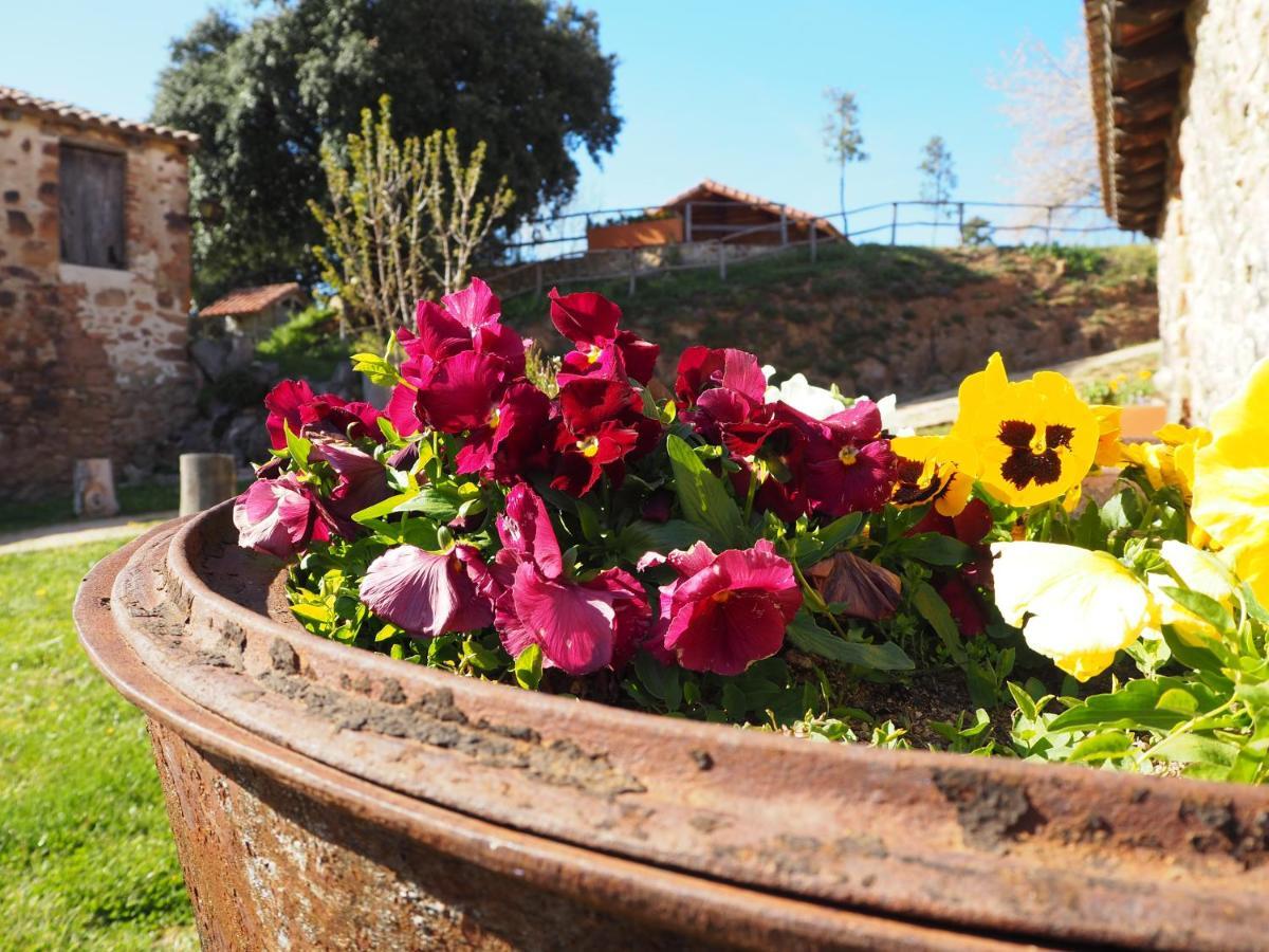 Hostal Mas Cal Sastre Sant Hilari Sacalm Exterior foto